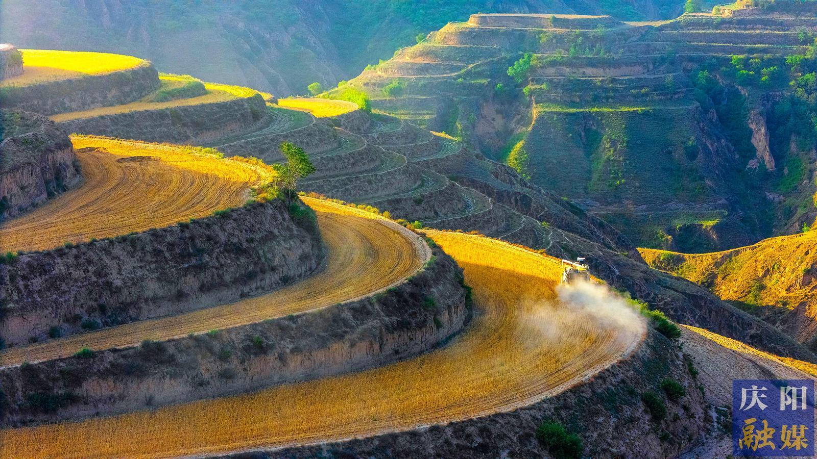 【攝影專(zhuān)題】金色慶陽(yáng)收麥忙 農(nóng)機(jī)農(nóng)技保歸倉(cāng)