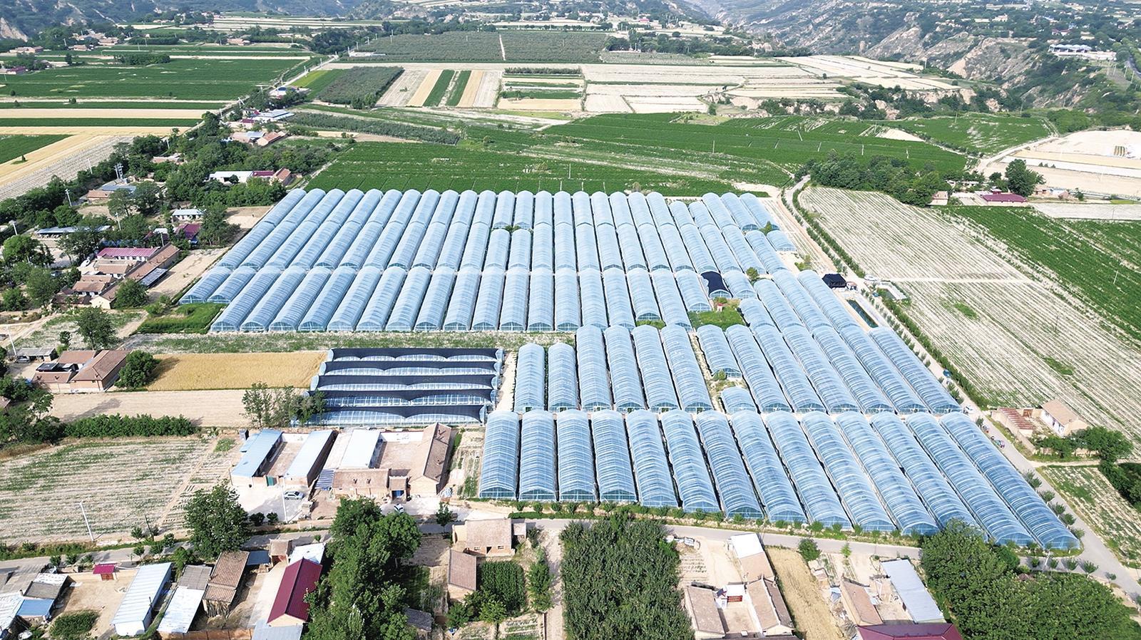 黨建引領(lǐng)聚鏈成勢 產(chǎn)業(yè)融合賦能振興