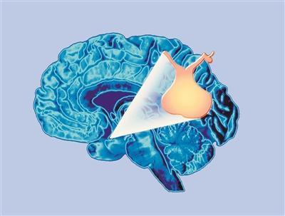 西藏自治區(qū)禁毒辦