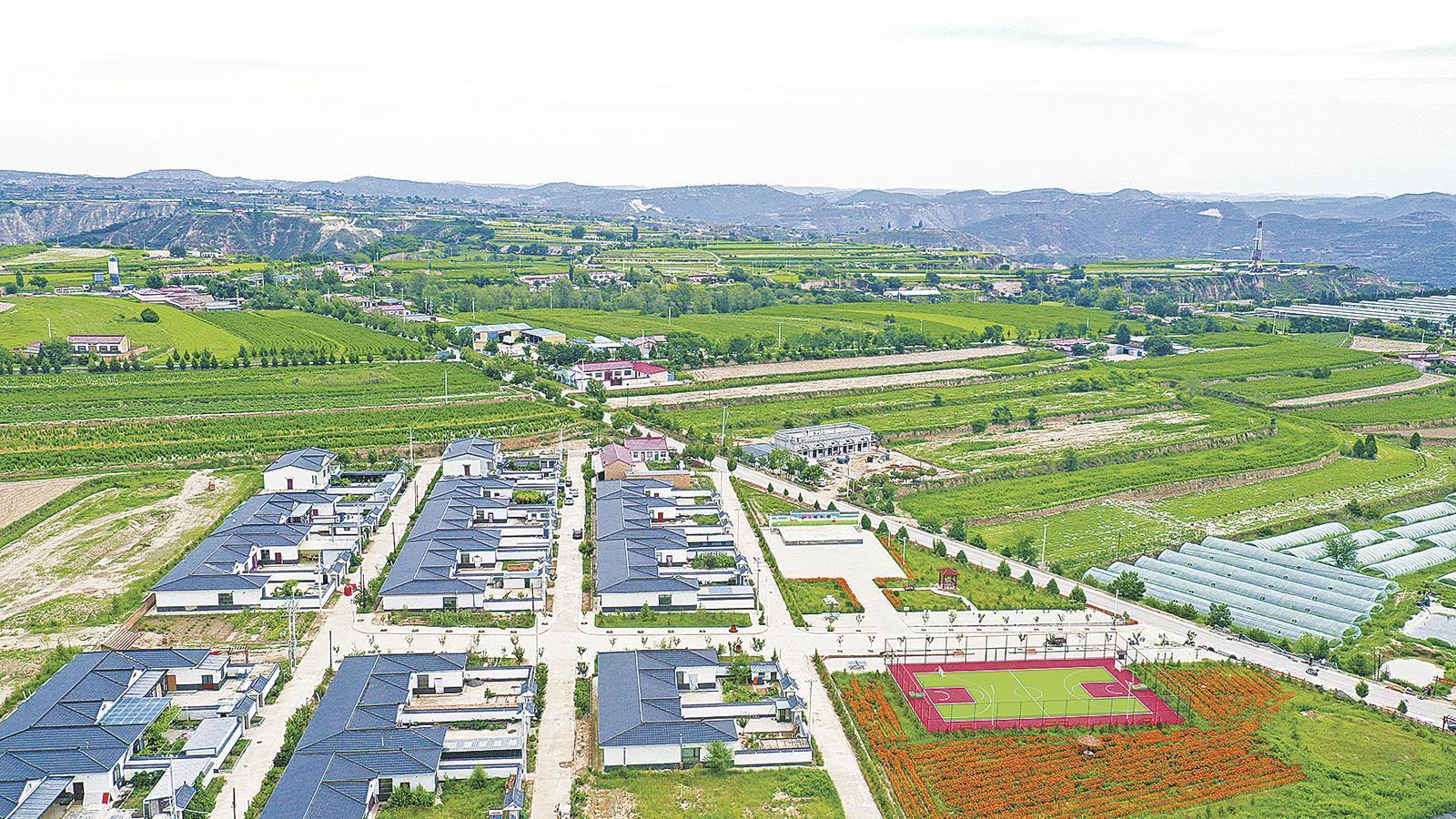 黃土旱塬添新綠  —— 環(huán)縣“三北”工程加速繪就生態(tài)新畫卷