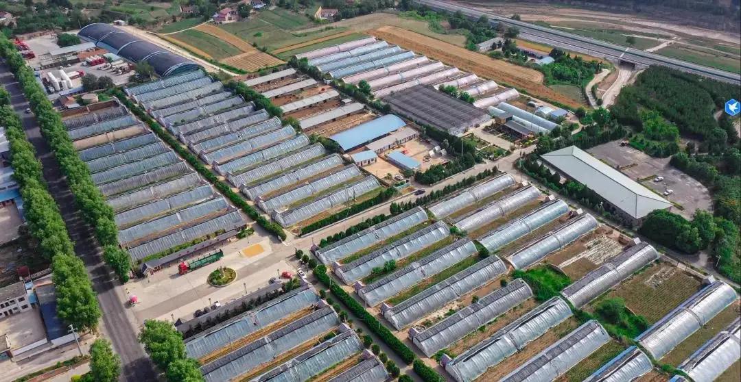 慶城縣農(nóng)文旅融合解鎖鄉(xiāng)村振興多元密碼 ——窯洞飄香引客至 杏果生金鏈全國 云端菜園系鄉(xiāng)情