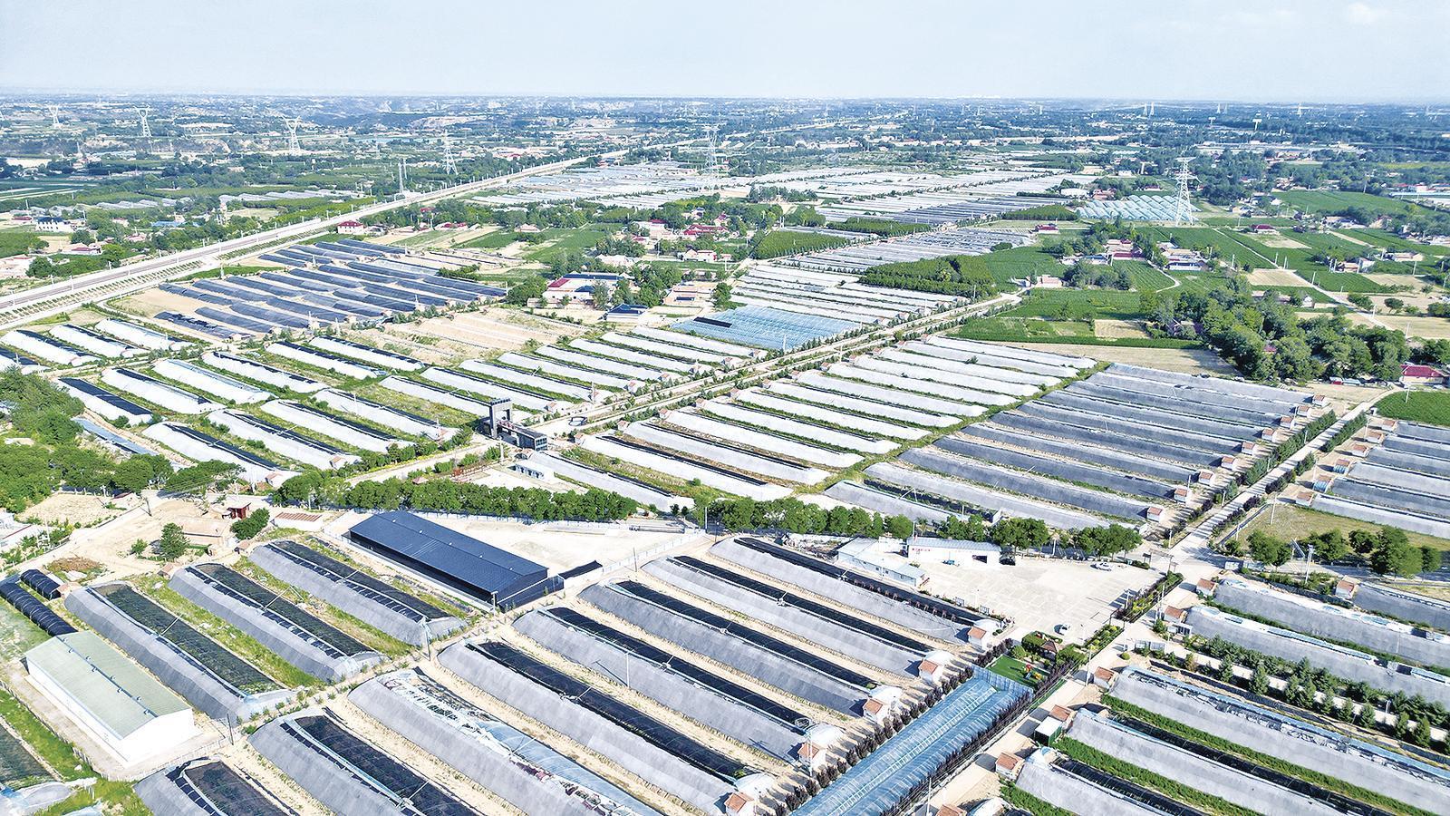 【隴東報(bào)·鄉(xiāng)村振興】慶陽(yáng)：“新農(nóng)人”變“興農(nóng)人”領(lǐng)航產(chǎn)業(yè)升級(jí)，激活鄉(xiāng)村振興“動(dòng)力源”！