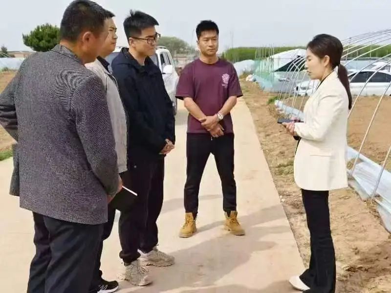 【深化“三抓三促”行動】正寧：辦好“身邊事”暖了“百姓心”