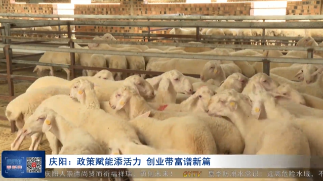 《慶陽(yáng)新聞》2025年7月21日