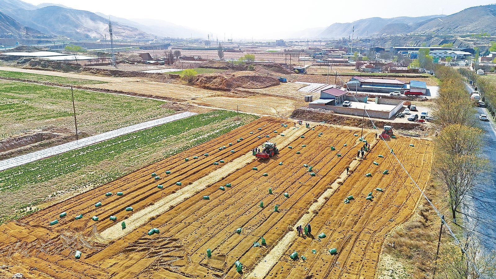 《隴東報》特刊·鄉(xiāng)村振興︱基層治理、產(chǎn)業(yè)鋪路......慶陽打好“組合拳”鋪就振興路