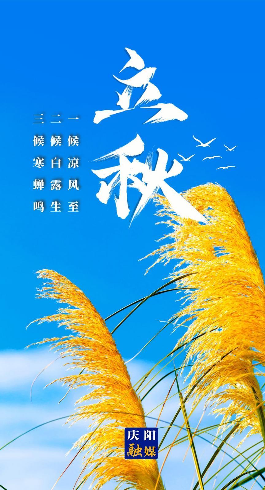 【微海報】立秋：秋者陰氣始下，故萬物收！