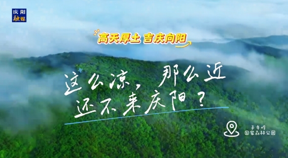 這么涼，那么近，還不來慶陽 ？——“天然氧吧”子午嶺國家森林公園歡迎您來！