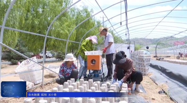 《慶陽新聞》2025年8月10日