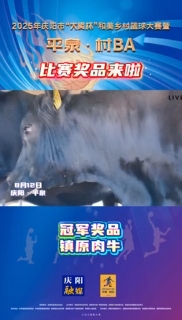 獎牛! 獎羊! 獎兔! 平泉·村BA獎品“村味”十足!!