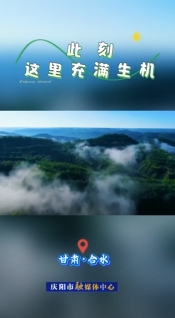 【全國生態(tài)日】合水：青綠是底色 更是可持續(xù)發(fā)展的生產(chǎn)力