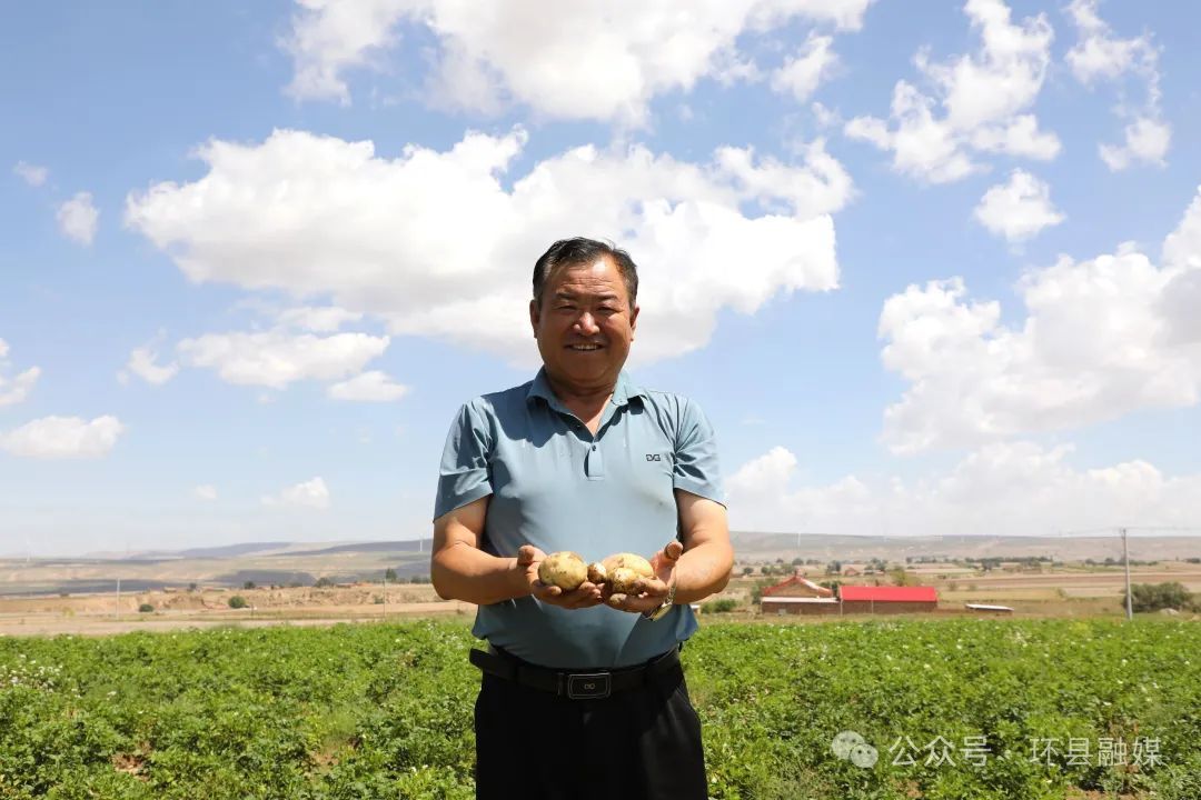 環(huán)縣：30萬畝馬鈴薯管護忙 豐收有“薯”光