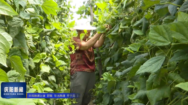 《慶陽(yáng)新聞》2025年8月18日