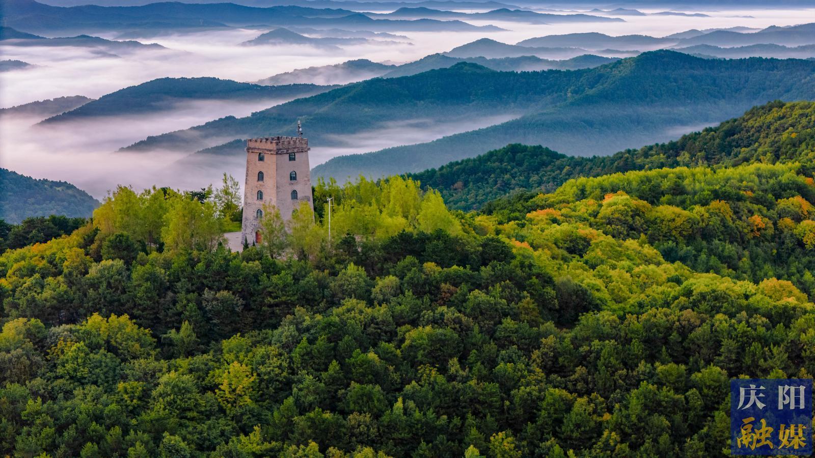 【攝影報道】子午嶺初秋晨韻