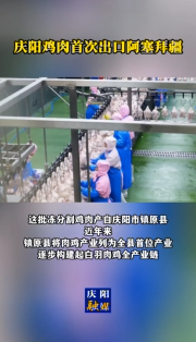 慶陽雞肉首次出口阿塞拜疆