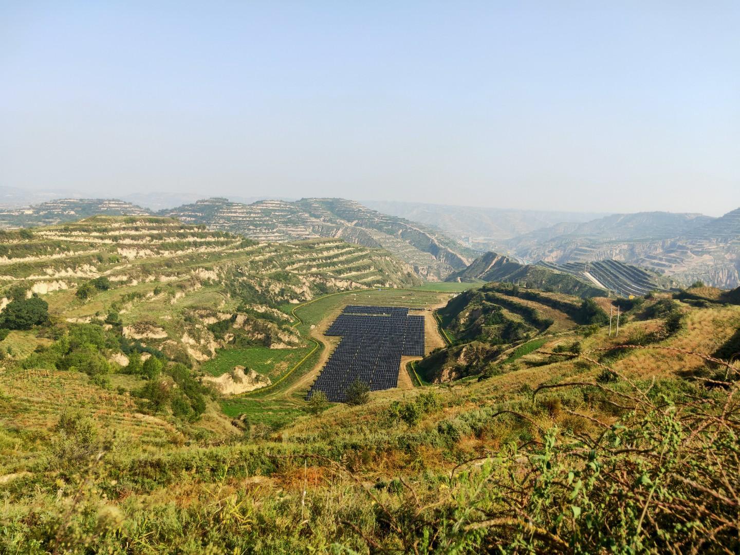 黃土坡上藥香濃 合作社帶富一方人——慶城縣中藥材產(chǎn)業(yè)成為鄉(xiāng)村振興“金鑰匙”