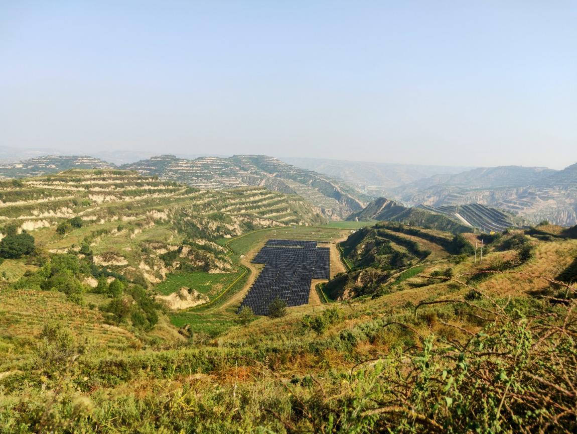 【2025甘肅·慶陽(yáng)岐黃文化論壇】黃土坡上藥香濃 合作社帶富一方人——慶城縣中藥材產(chǎn)業(yè)成為鄉(xiāng)村振興“金鑰匙”