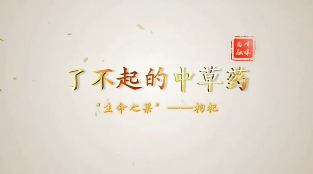 【2025甘肅·慶陽岐黃文化論壇】了不起的中藥材︱枸杞