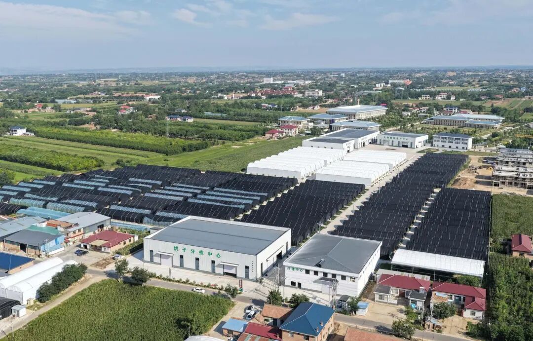 點(diǎn)燃項(xiàng)目引擎 激活發(fā)展動(dòng)能——西峰區(qū)重點(diǎn)項(xiàng)目建設(shè)紀(jì)實(shí)