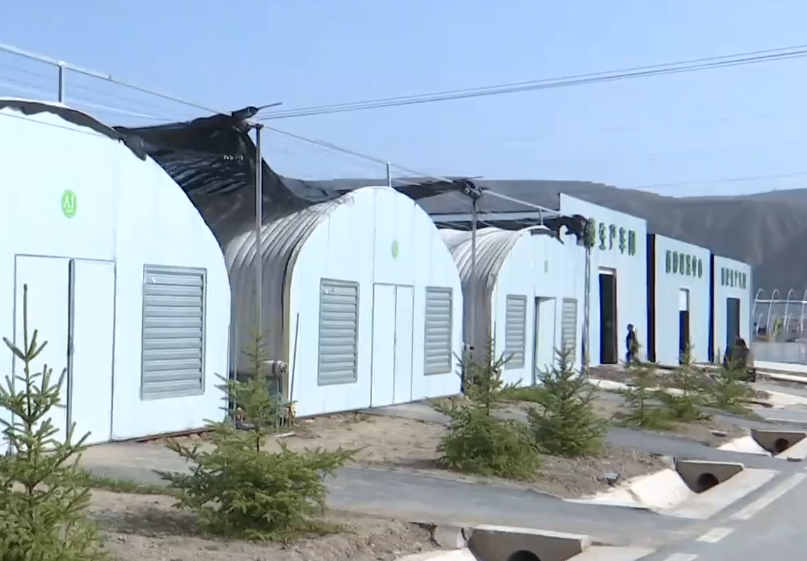 《慶陽新聞》2025年9月30日