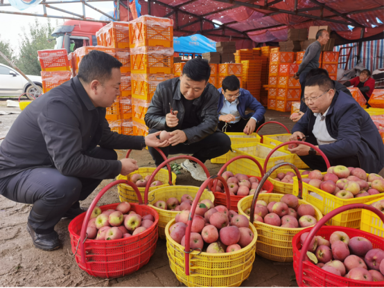 【三元雙向 智慧農(nóng)業(yè)】合水：干群合力搶收忙蘋果園里迎豐收