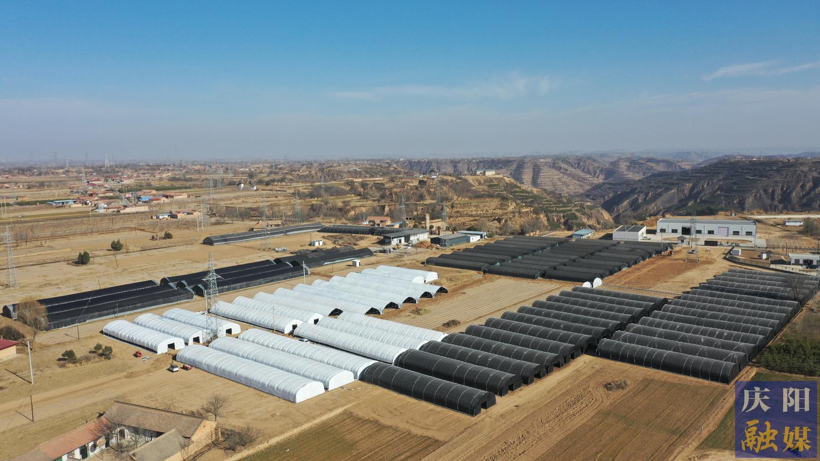 【城鄉(xiāng)文明創(chuàng)建】民主議事謀發(fā)展  移風(fēng)易俗譜新風(fēng)——慶城縣驛馬鎮(zhèn)東灘村創(chuàng)建全國文明村鎮(zhèn)工作綜述