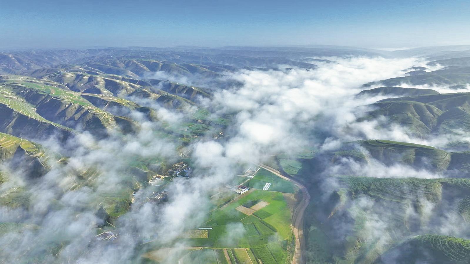 《隴東報(bào)》特刊·生態(tài)慶陽丨筑牢綠色發(fā)展根基 革命老區(qū)讓全國重點(diǎn)沙區(qū)縣綠滿青山