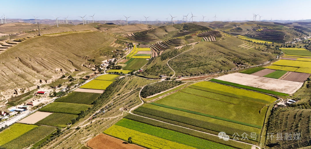 【攝影報(bào)道】環(huán)縣：秋色為筆 大地成詩