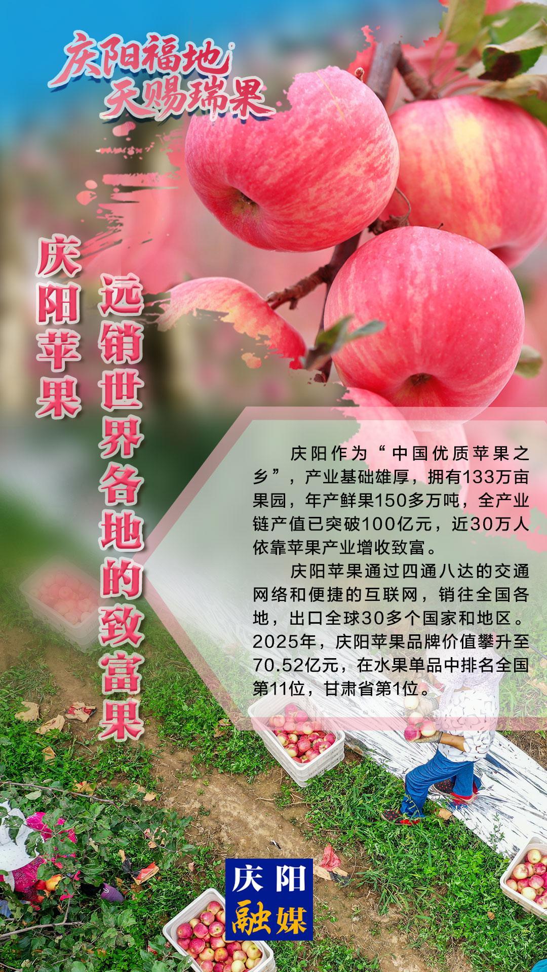 2025中國蘋果年會(huì)在慶陽·微海報(bào)丨慶陽蘋果——遠(yuǎn)銷世界各地的致富果