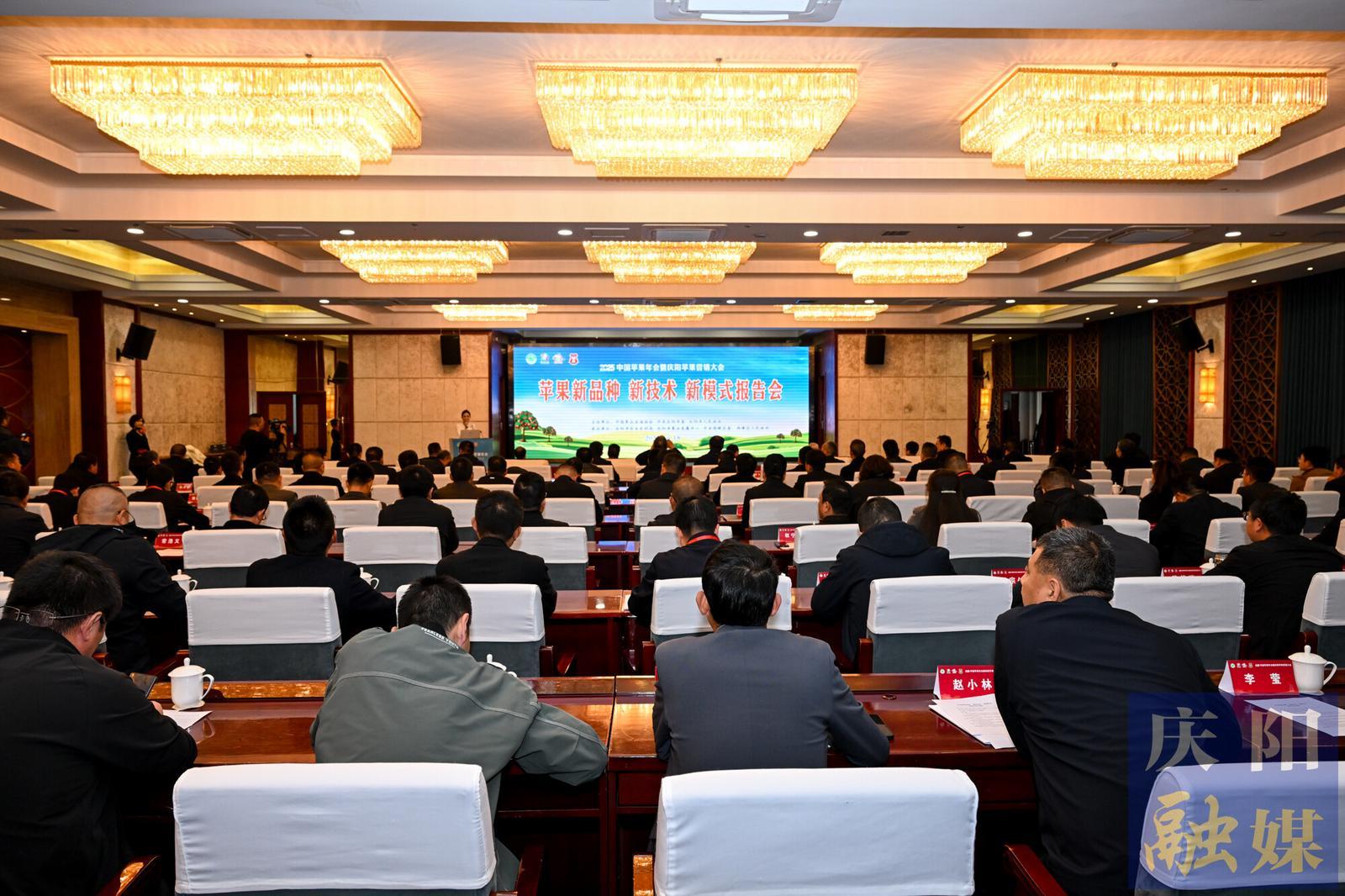 【慶陽福地 天賜瑞果】金秋論“果” 共繪慶陽蘋果產(chǎn)業(yè)新畫卷——蘋果新品種 新技術 新模式報告會側記