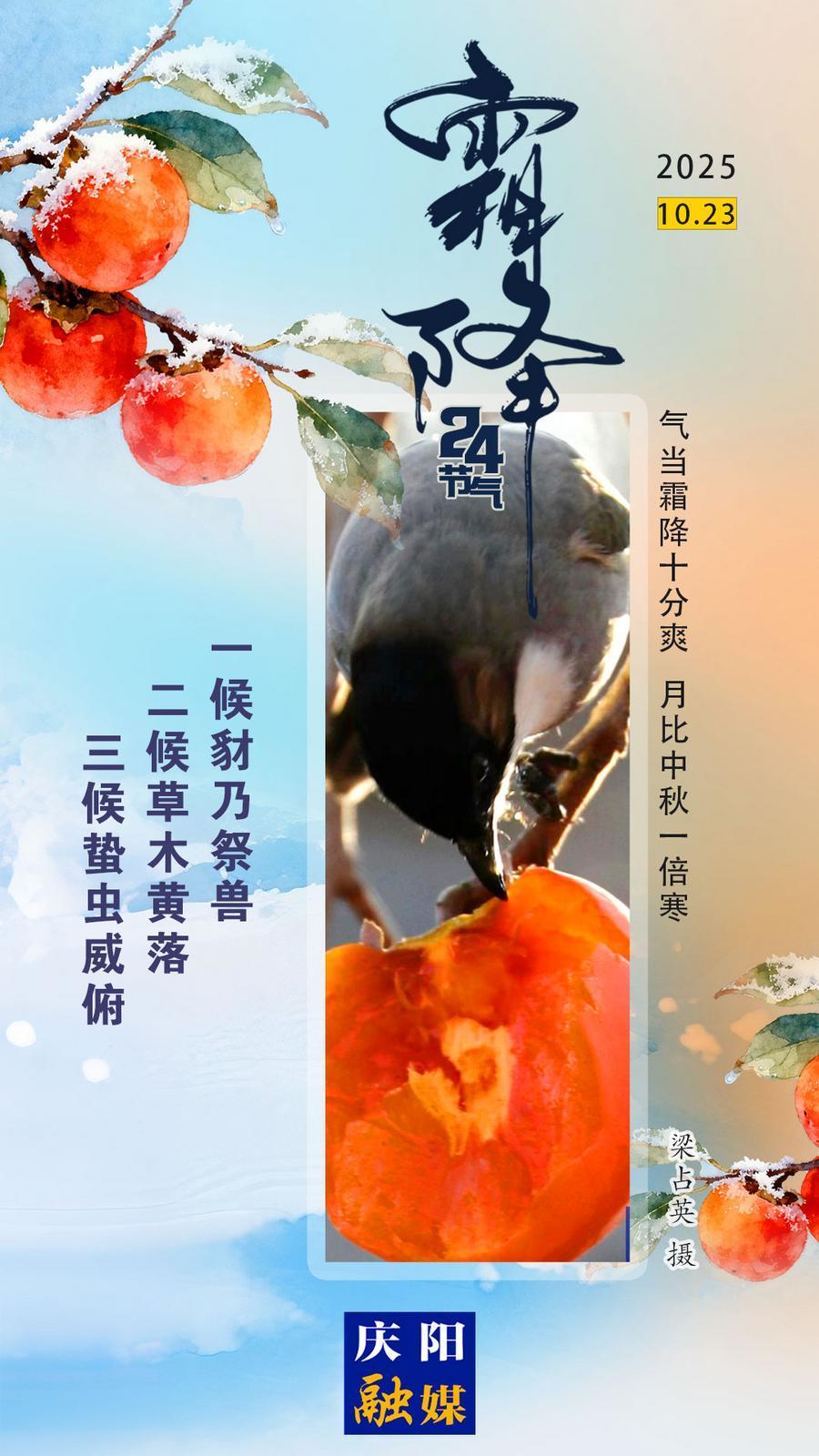 【二十四節(jié)氣·霜降】微海報(bào)丨秋已暮 露成霜