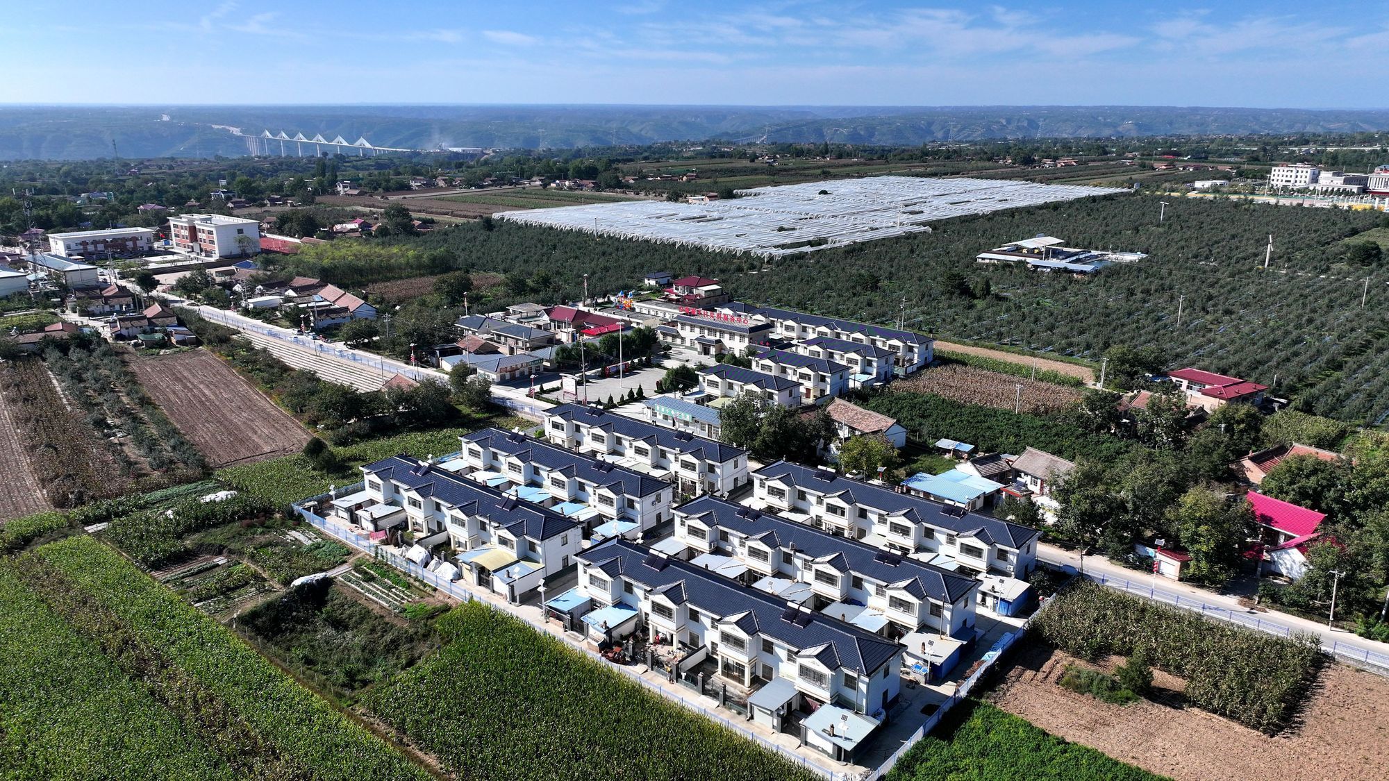 東西部協(xié)作結(jié)碩果 山海情深促振興