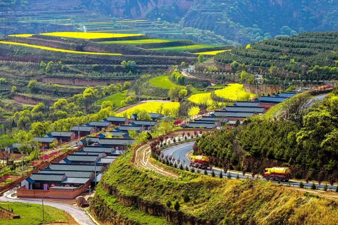 黃土塬的山村“蝶變”——甘肅省慶陽市西峰區(qū)毛寺村采訪記【銜接這五年④】