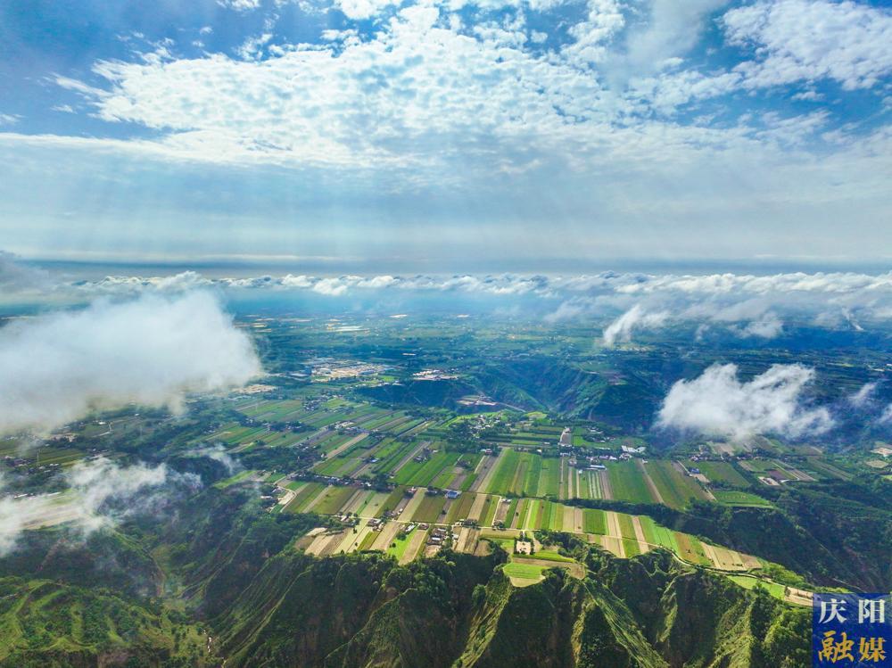 【攝影報(bào)道】秋浸慶陽，風(fēng)梳大地葉正黃！
