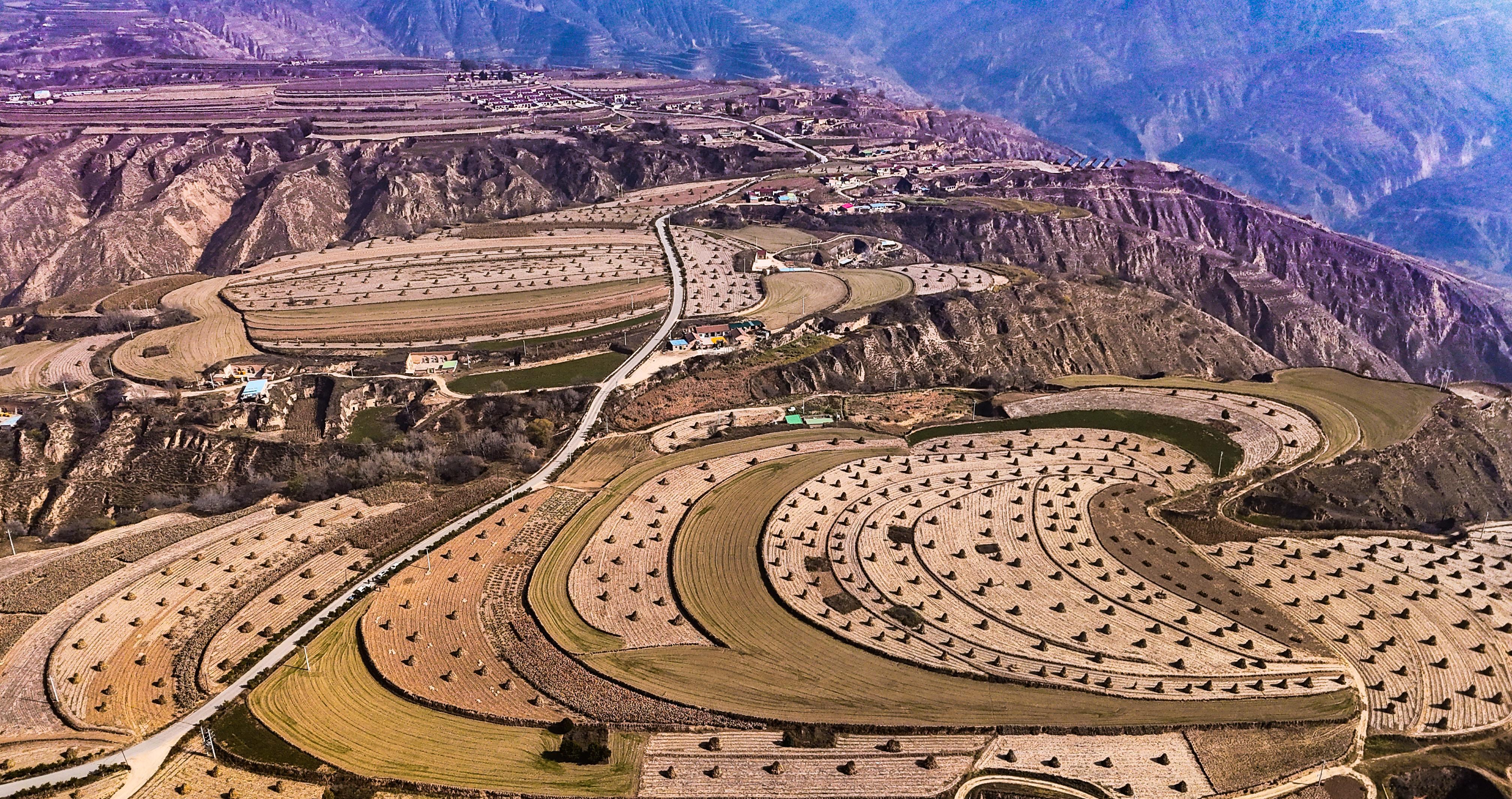 【攝影報(bào)道】環(huán)縣樊家川鎮(zhèn)：秋收秋覆膜 田野繪“豐”景