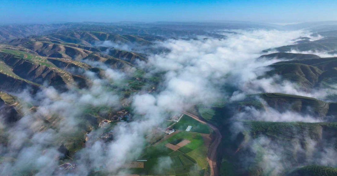 甘肅環(huán)縣：筑起黃河“幾字彎”綠色屏障