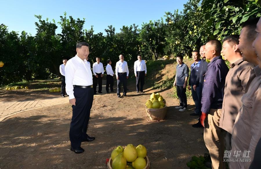 學(xué)習(xí)進(jìn)行時｜習(xí)近平總書記關(guān)心推動老區(qū)發(fā)展振興的故事