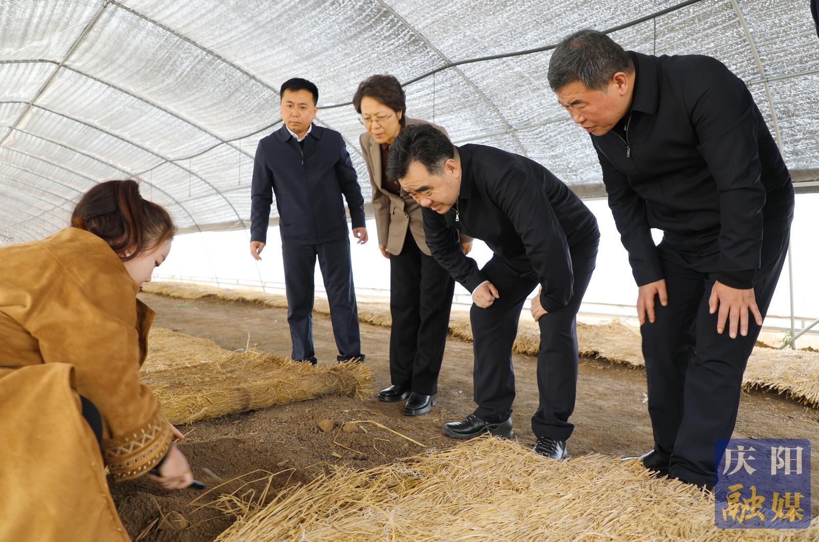 黃澤元在合水縣調(diào)研時強調(diào) 以農(nóng)文旅融合賦能鄉(xiāng)村全面振興 以產(chǎn)業(yè)升級激發(fā)高質(zhì)量發(fā)展活力