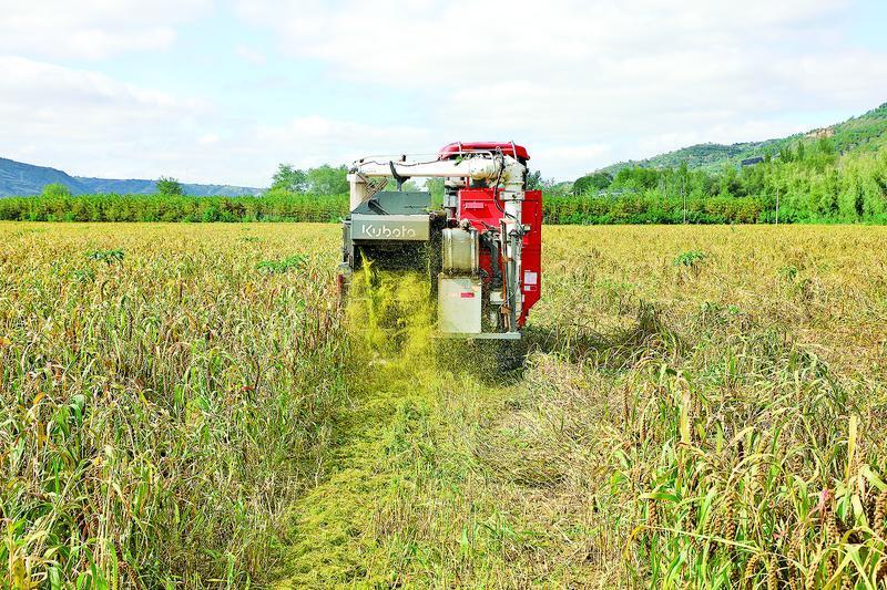 《隴東報》特刊·鄉(xiāng)村振興︱慶陽拓寬鄉(xiāng)村振興路 富民產(chǎn)業(yè)“百花齊放”