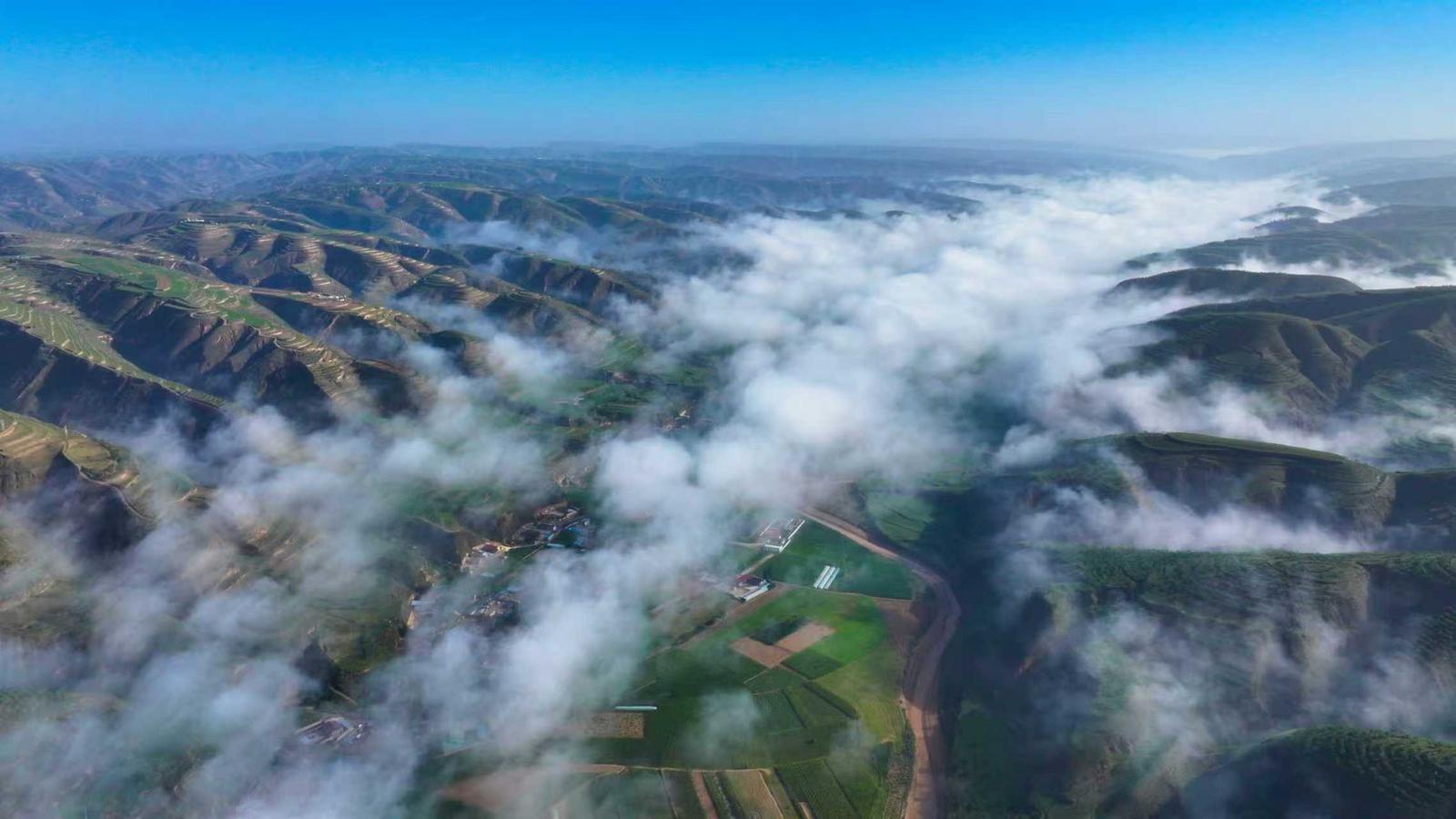 環(huán)縣攻堅(jiān)黃河“幾字彎” 筑起綠色生態(tài)屏障