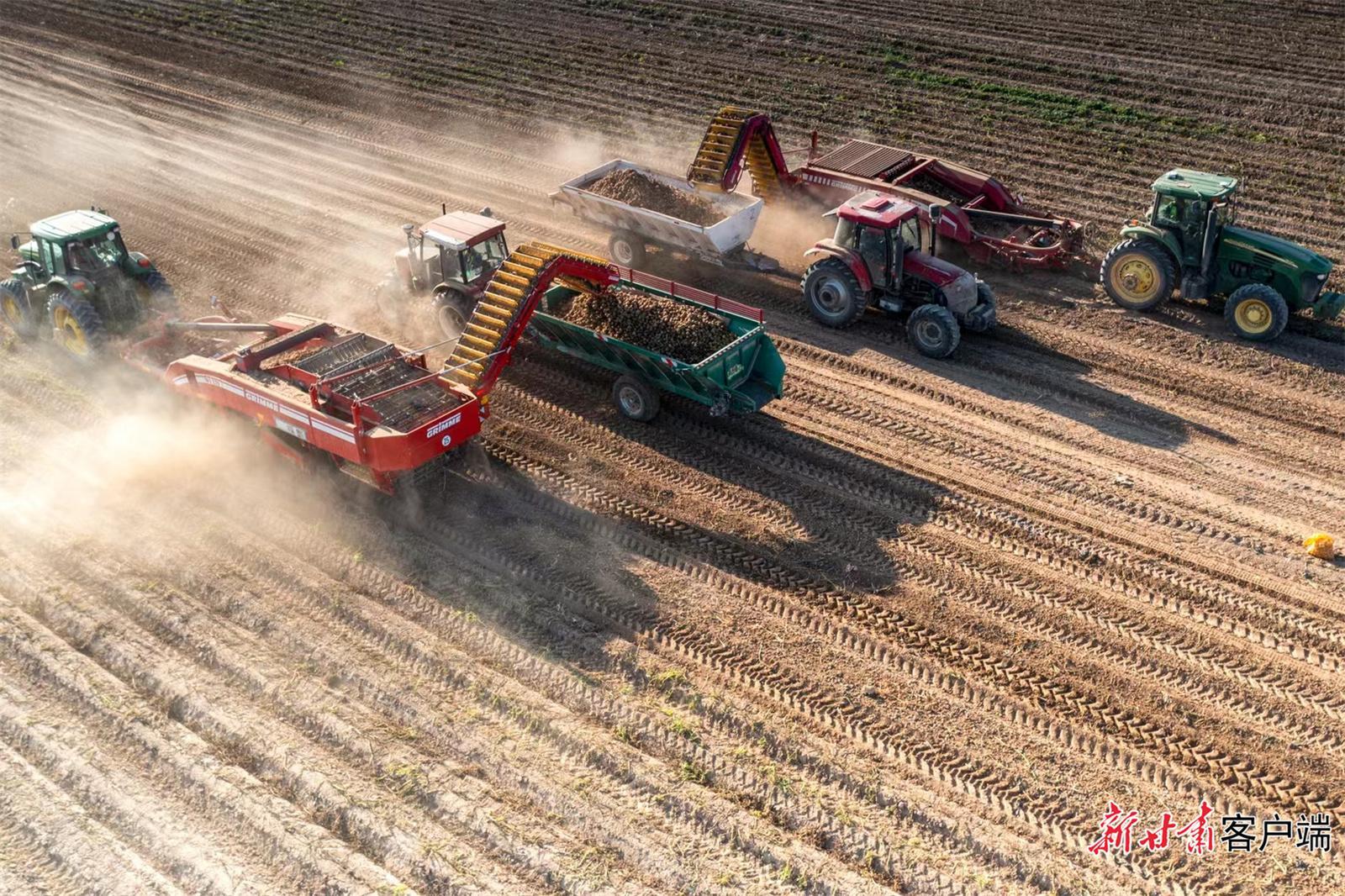 接軌國際！甘肅農(nóng)墾黃羊河農(nóng)場馬鈴薯產(chǎn)業(yè)獲全球良好農(nóng)業(yè)規(guī)范認(rèn)證