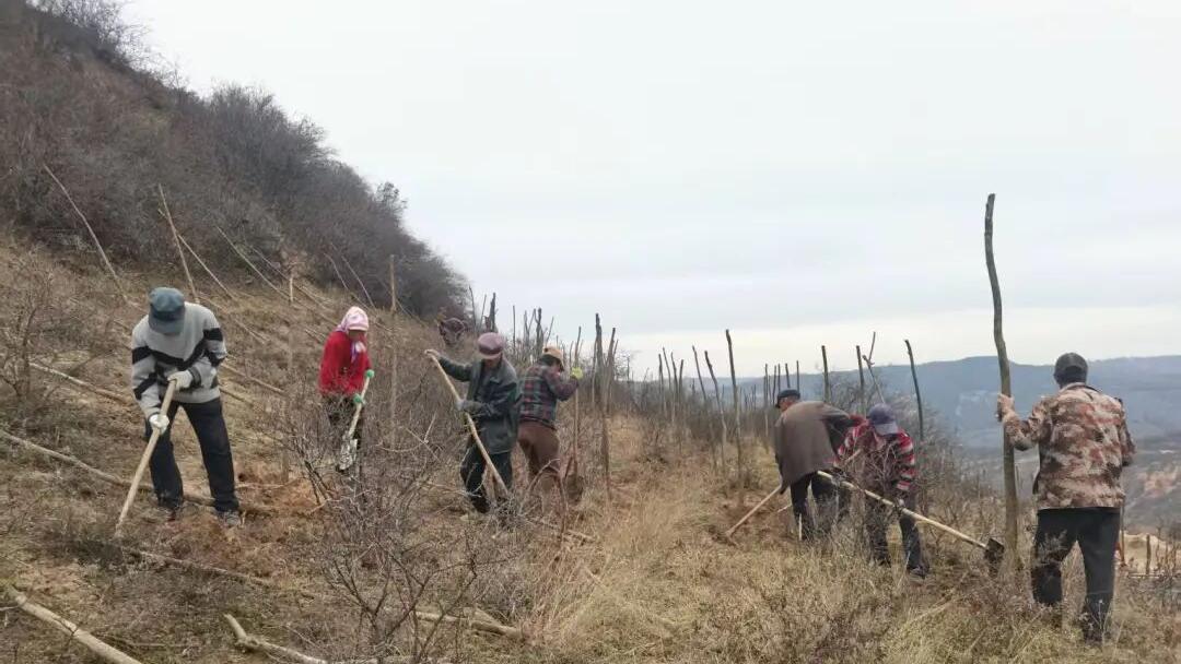 正寧：造林護綠富農(nóng)家