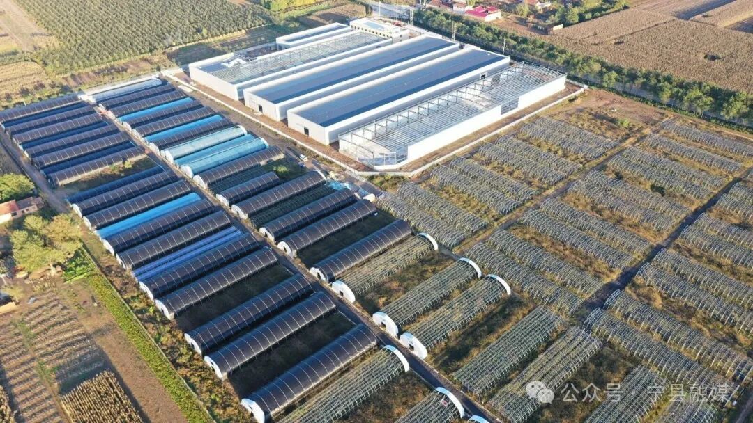 寧縣：重大項(xiàng)目引領(lǐng)高質(zhì)量發(fā)展新篇章