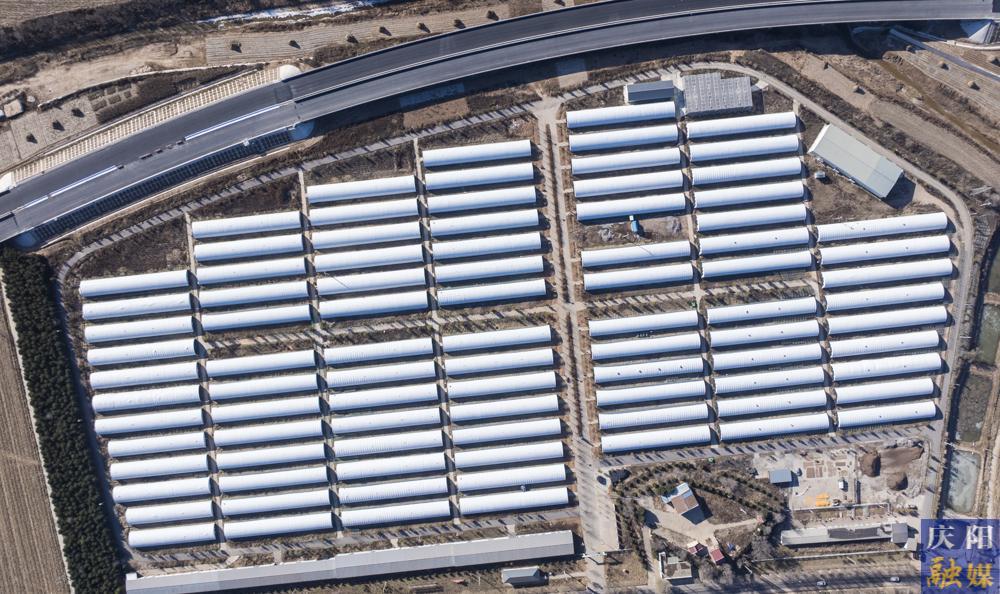 【非凡“十四五” 奮進新慶陽】 攝影報道︱日產(chǎn)4萬棒！華池縣山莊鄉(xiāng)香菇基地筑牢循環(huán)農(nóng)業(yè)產(chǎn)業(yè)鏈