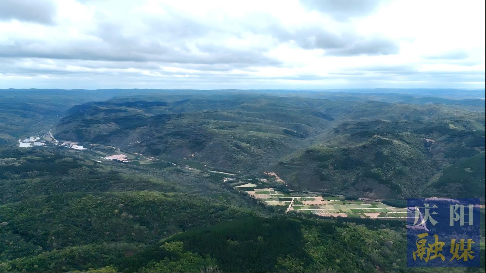 黨旗領(lǐng)航凝聚奮進(jìn)力量  ——慶陽(yáng)市分類(lèi)推進(jìn)“五區(qū)”基層黨建紀(jì)實(shí)