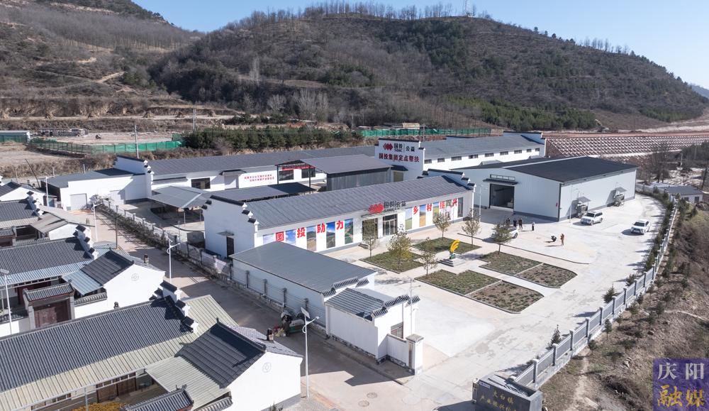 【非凡“十四五” 奮進(jìn)新慶陽】 攝影報(bào)道︱合水縣太白鎮(zhèn)：一穗玉米富一方人