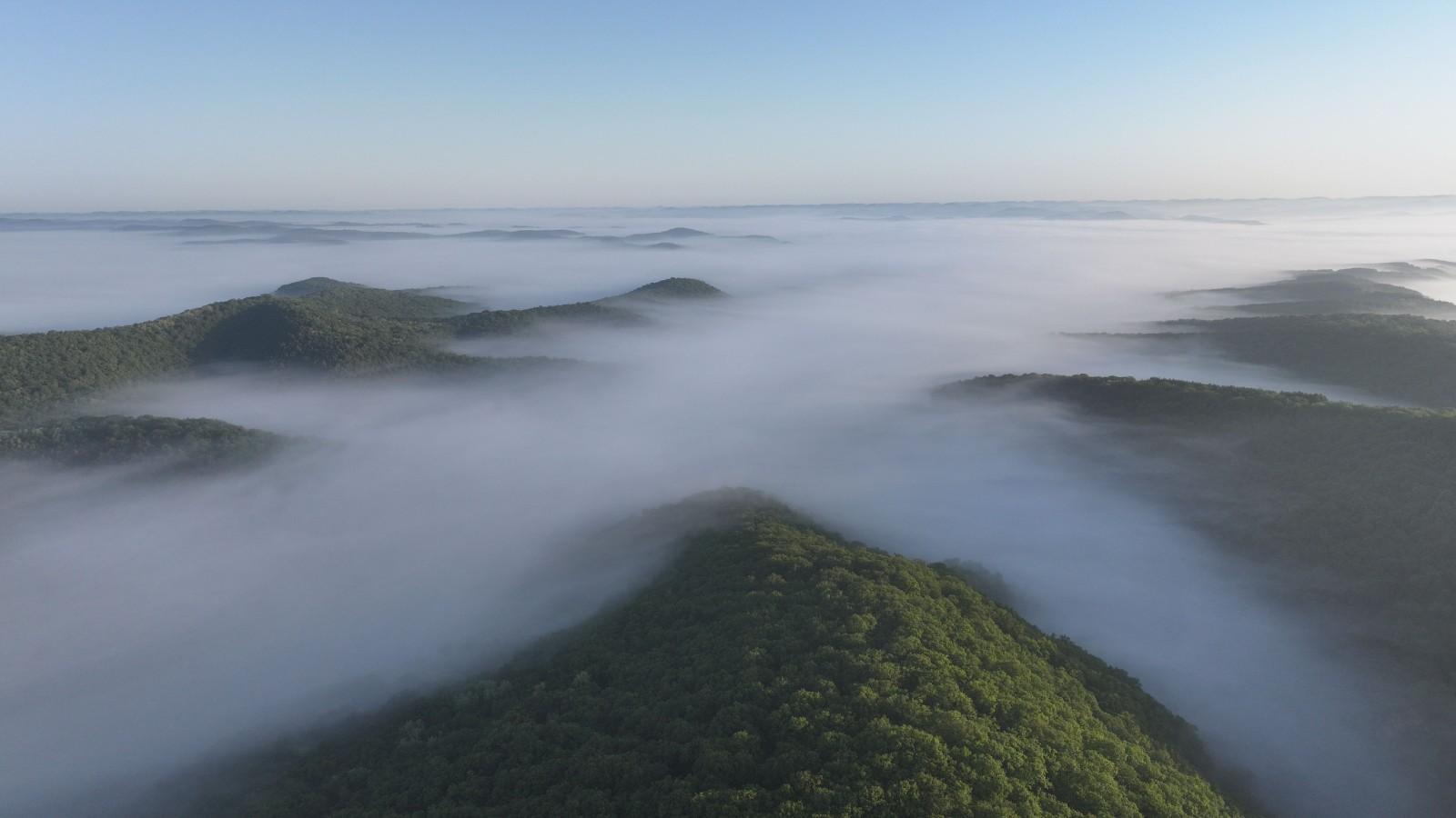 林緣深處黨旗紅——華池縣“一聯(lián)三共”解鎖護(hù)綠富民雙贏密碼
