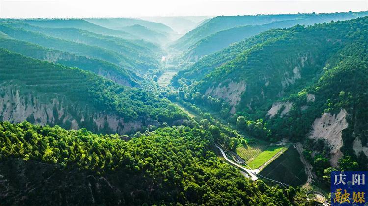 從黃土高原到燕園講堂——西峰局以“碳匯”破題書(shū)寫(xiě)縣域善治的綠色答卷