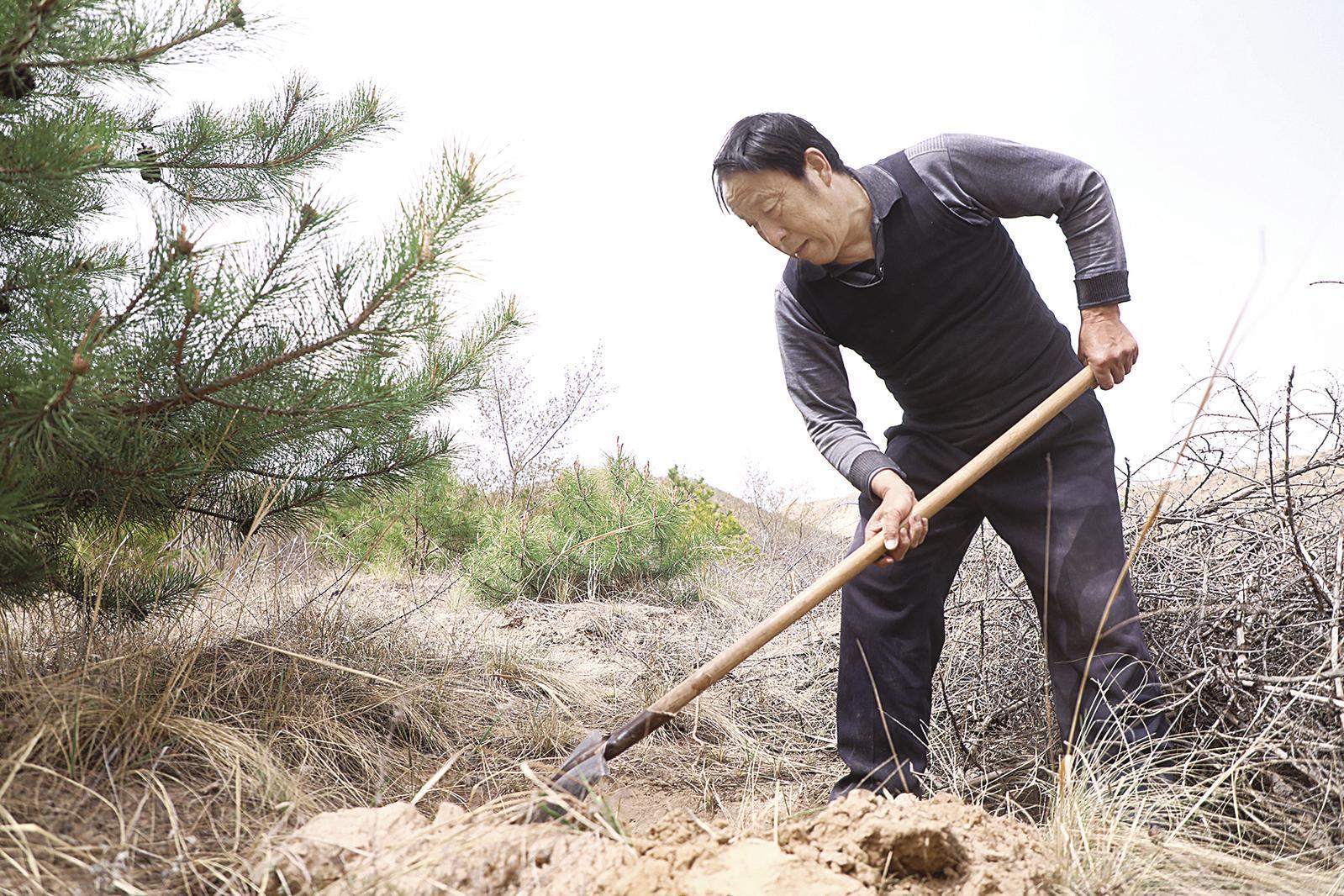 再訪“綠色愚公”蘇振軍